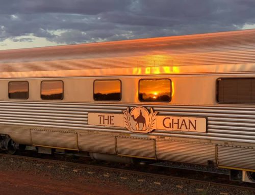 Wendy’s Excellent Red Centre Adventure – November 2020