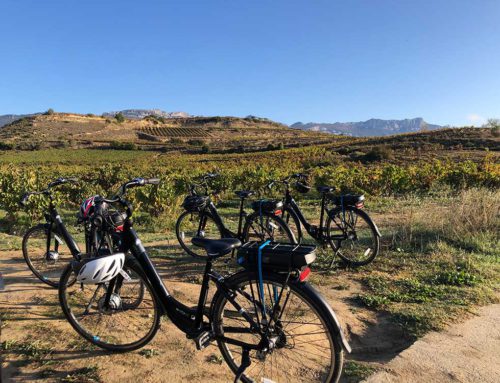 Sianna’s Spanish Sojourn